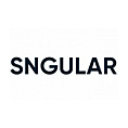 Sngular